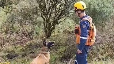 Rick e Bruno Avelar morrem em queda de helicóptero em SC; bombeiros confirmam cinco vítimas